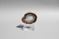 Agate Slice #34