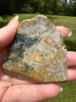 8th Vein Ocean Jasper Slab #69