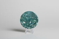 Moss Agate Polished Round Slice #3