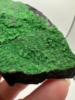 Uvarovite Garnet, Saranovski, Sarany, Gomazavodskii, Russia