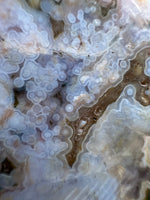 8th Vein Ocean Jasper Slab #65