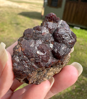 Andradite Garnet Specimen, Zacatecas, Mexico