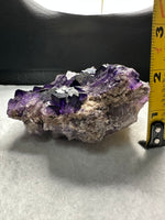 Dark Purple Fluorite Specimen – Melchor Muzquiz, Coahuila, Mexico