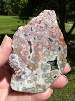 8th Vein Ocean Jasper Slab #127