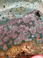 8th Vein Ocean Jasper Slab #17