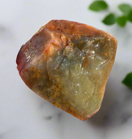 Savannah River Agate Specimen 1g