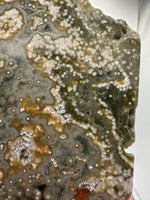 8th Vein Ocean Jasper Slab #6