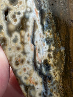 8th Vein Ocean Jasper Slab #15