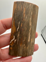 Woolly Mammoth Ivory, Pleistocene, Siberia, Russia