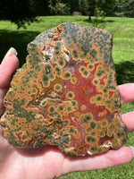 8th Vein Ocean Jasper Slab #105