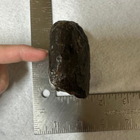 Raw Amber Specimen #4