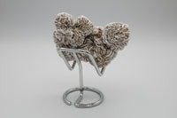 Selenite "Desert Rose," Samalayuka Desert, Chihuahua, Mexico #1