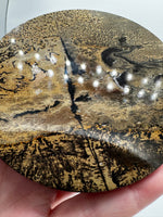 Natural Picture Jasper Slab with Stand #11