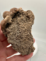 Druzy Quartz Haunted Ridge Rocks MO #5
