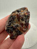 Madagascar Raw Amber Specimen #17