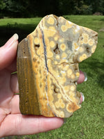 8th Vein Ocean Jasper Slab #79