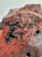 8th Vein Ocean Jasper Slab #64