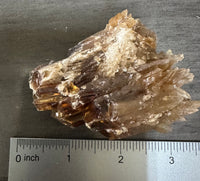 Natural Amber Calcite Raw Specimen UV Reactive #17