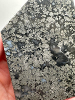 Free Form Pyrite Flowers Symbiosis Mixed Agate Slab #2