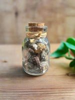 Glass Jar with Shells #4