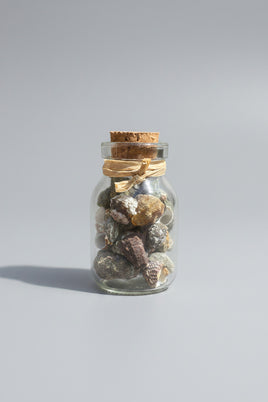 Glass Jar with Shells #4