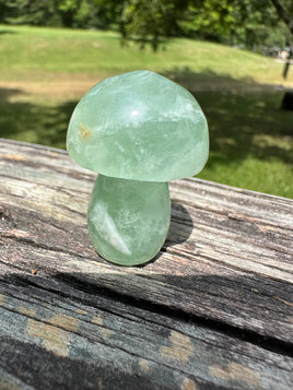 Colorful Fluorite Mushroom Carving #4