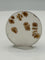 Scenic Dendritic Agate Cabochon #2