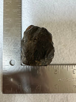 Raw Amber Specimen #5