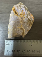8th Vein Ocean Jasper Slab #71