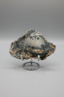 Dendritic Opal Slab