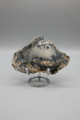 Dendritic Opal Slab