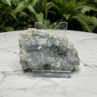 Celestite Cluster Specimen #1