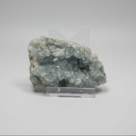 Celestite Cluster Specimen #1