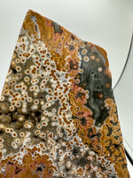 8th Vein Ocean Jasper Slab #24