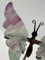 Fluorite Butterfly Wings & Stand #1