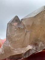Kundalini Natural Citrine Crystal, D R Congo, Lightbrary #9