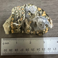 8th Vein Ocean Jasper Slab #38