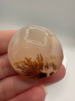 Designer Dendritic Agate Cabochon #2
