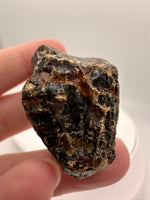 Madagascar Raw Amber Specimen #5