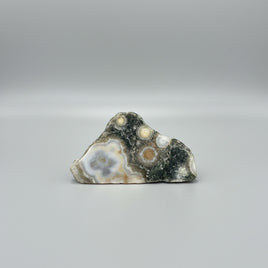 6th Vein Ocean Jasper Polished Freeform #20