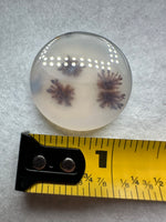 Scenic Dendritic Agate Cabochon #9