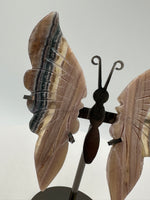 Fluorite Butterfly Wings & Stand #3