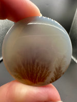 Designer Dendritic Agate Cabochon #5