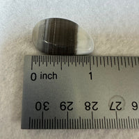 Owyhee Blue Opal Cabochon #46