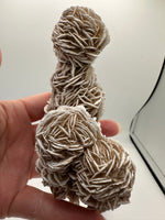 Selenite "Desert Rose," Samalayuka Desert, Chihuahua, Mexico #3