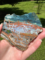 8th Vein Ocean Jasper Slab #103
