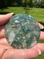 Moss Agate Polished Round Slice #25