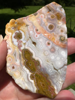 8th Vein Ocean Jasper Slab #48