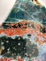 8th Vein Ocean Jasper Slab #4