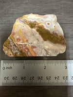 8th Vein Ocean Jasper Slab #48